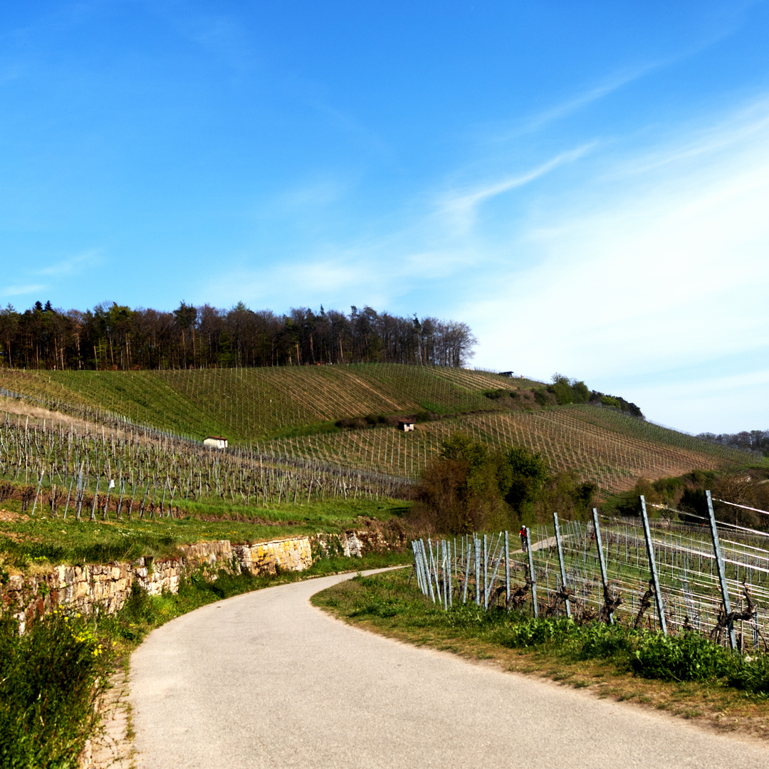 Kraichgauer Weinberglandschaft