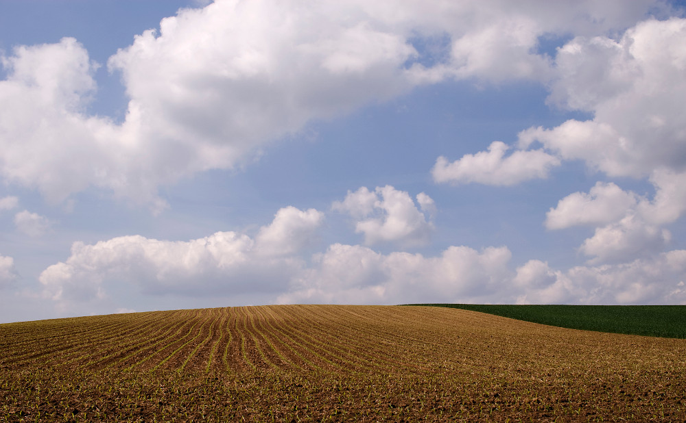 Kraichgaufeld