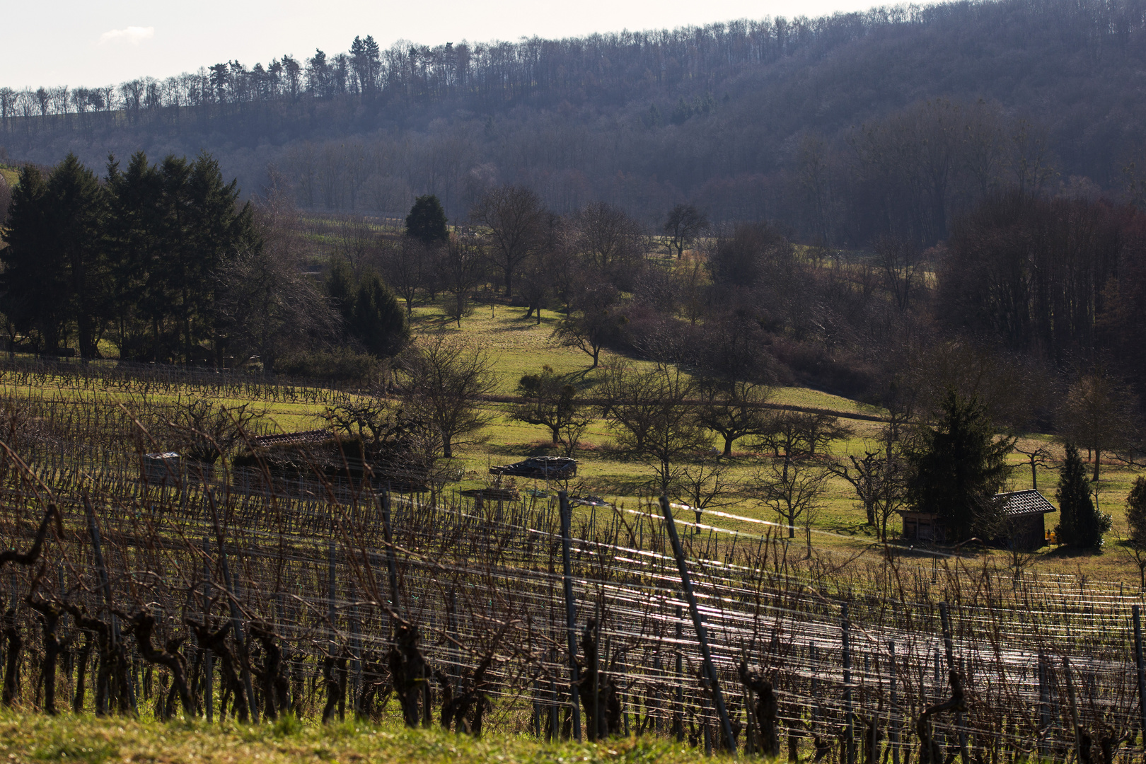 Kraichgaulandschaft