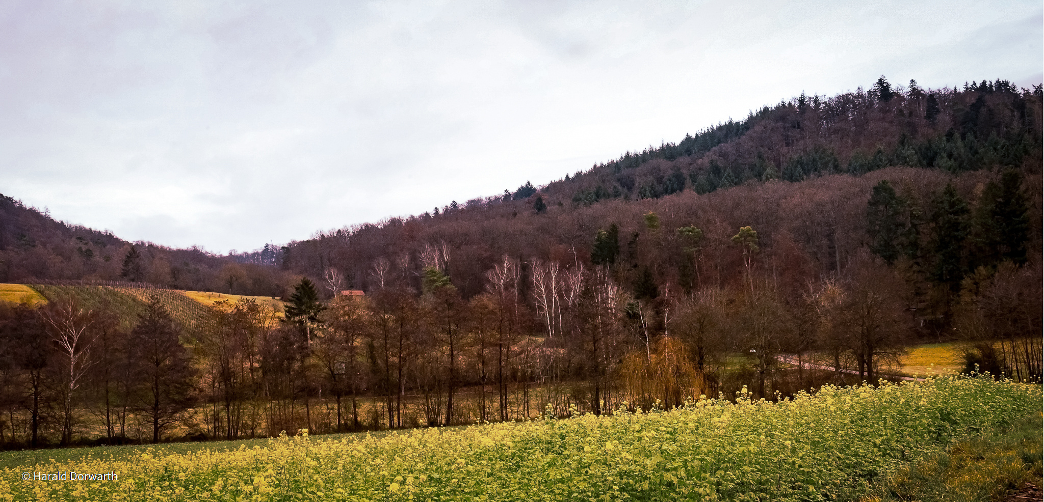 Kraichgaulandschaft