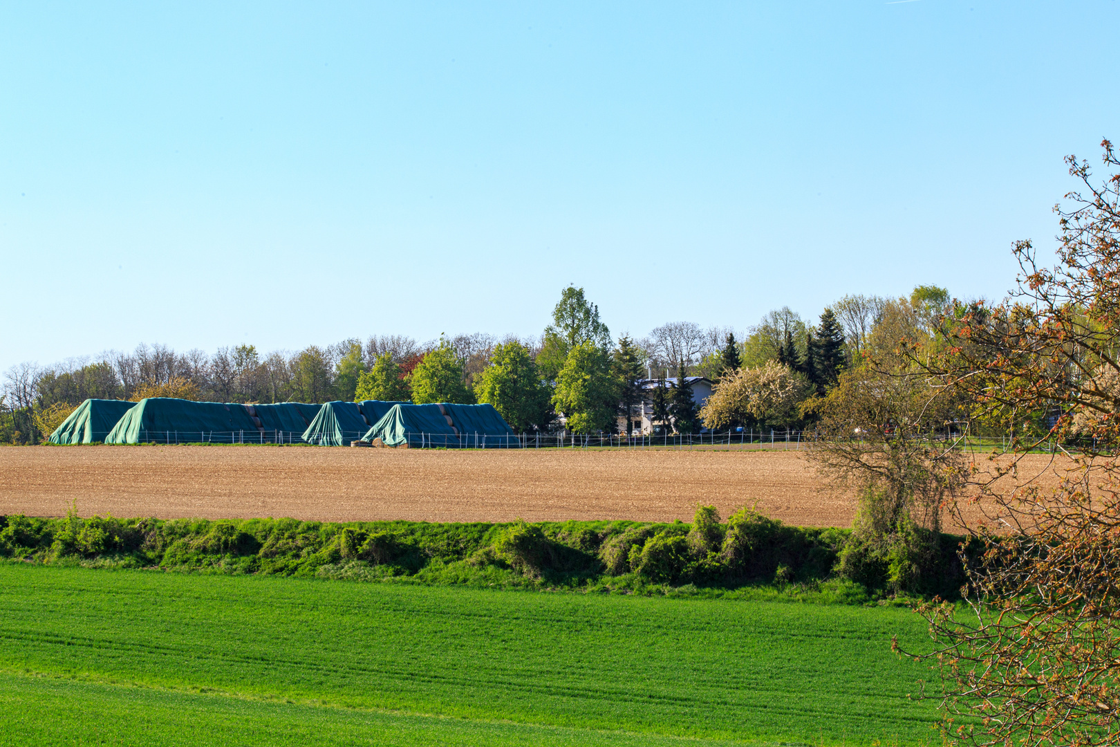 Kraichgaulandschaft bei Zeutern