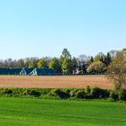 Kraichgaulandschaft bei Zeutern