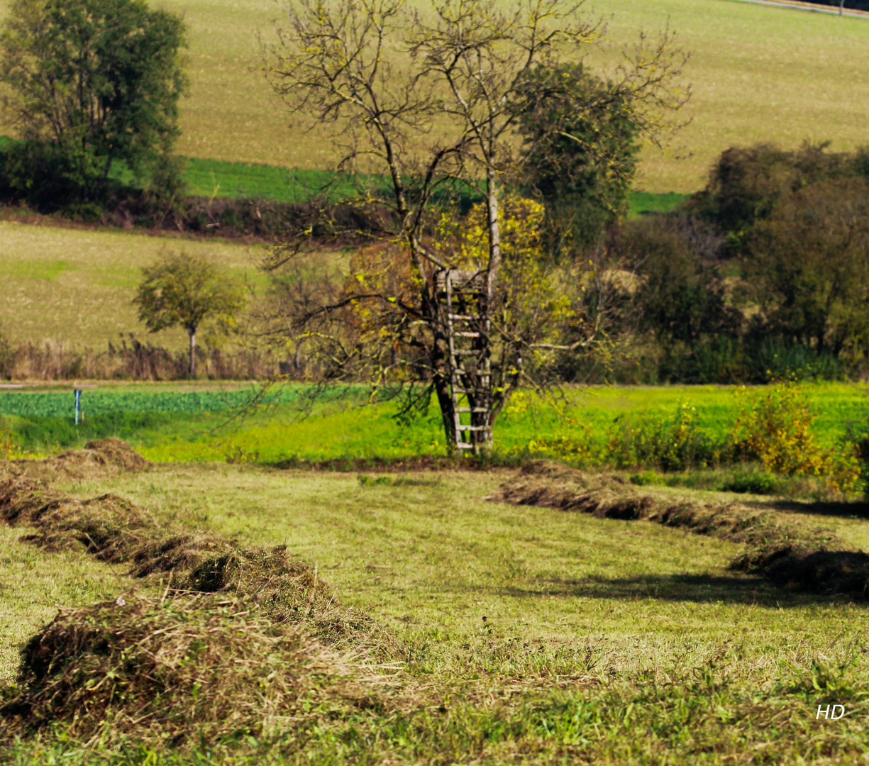 Kraichgaulandschaft