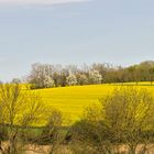 Kraichgaulandschaft im Frühling