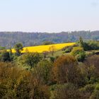 Kraichgaulandschaft im Frühling