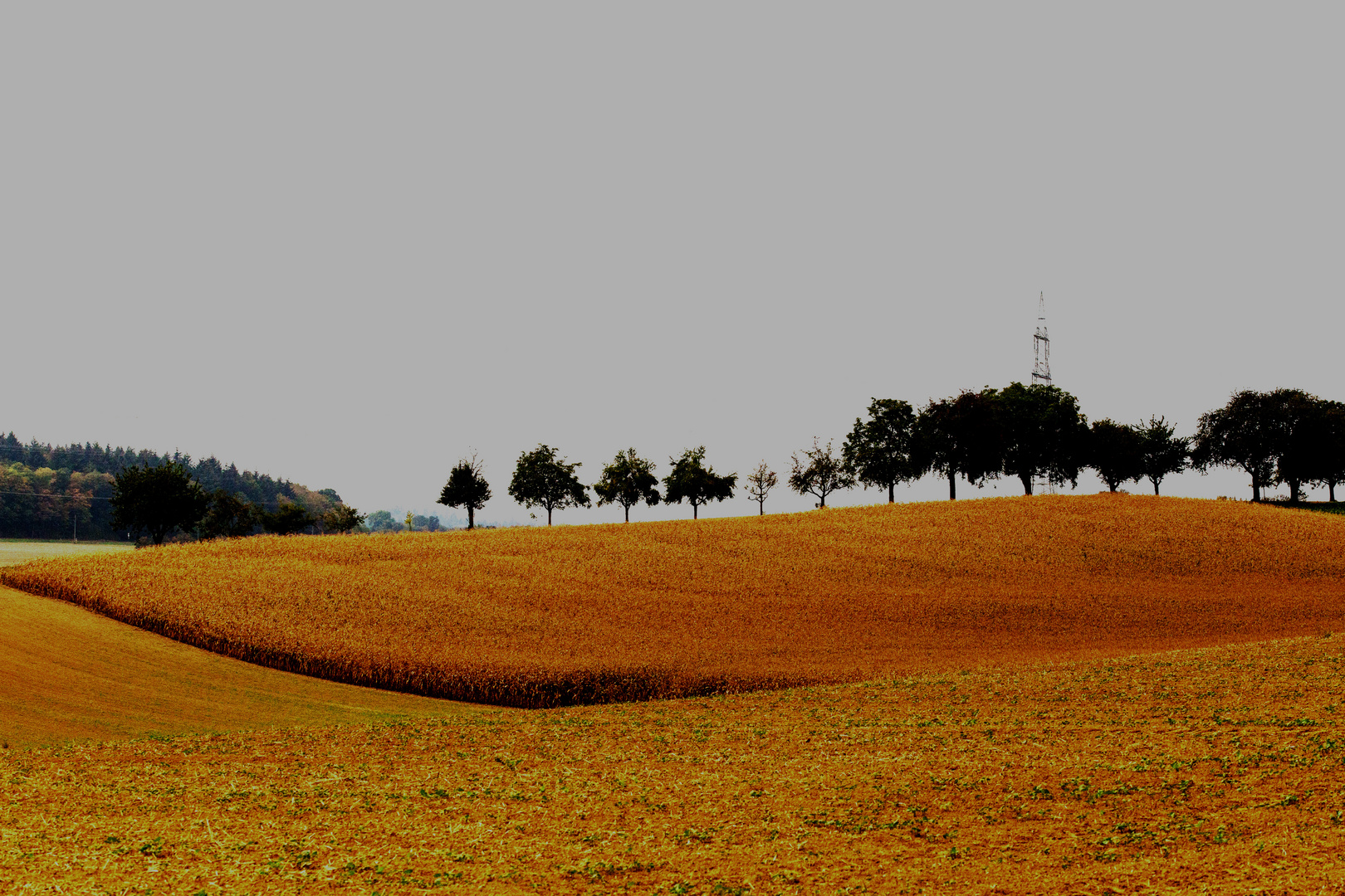 Kraichgaulandschaft im Herbst