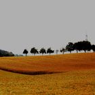 Kraichgaulandschaft im Herbst