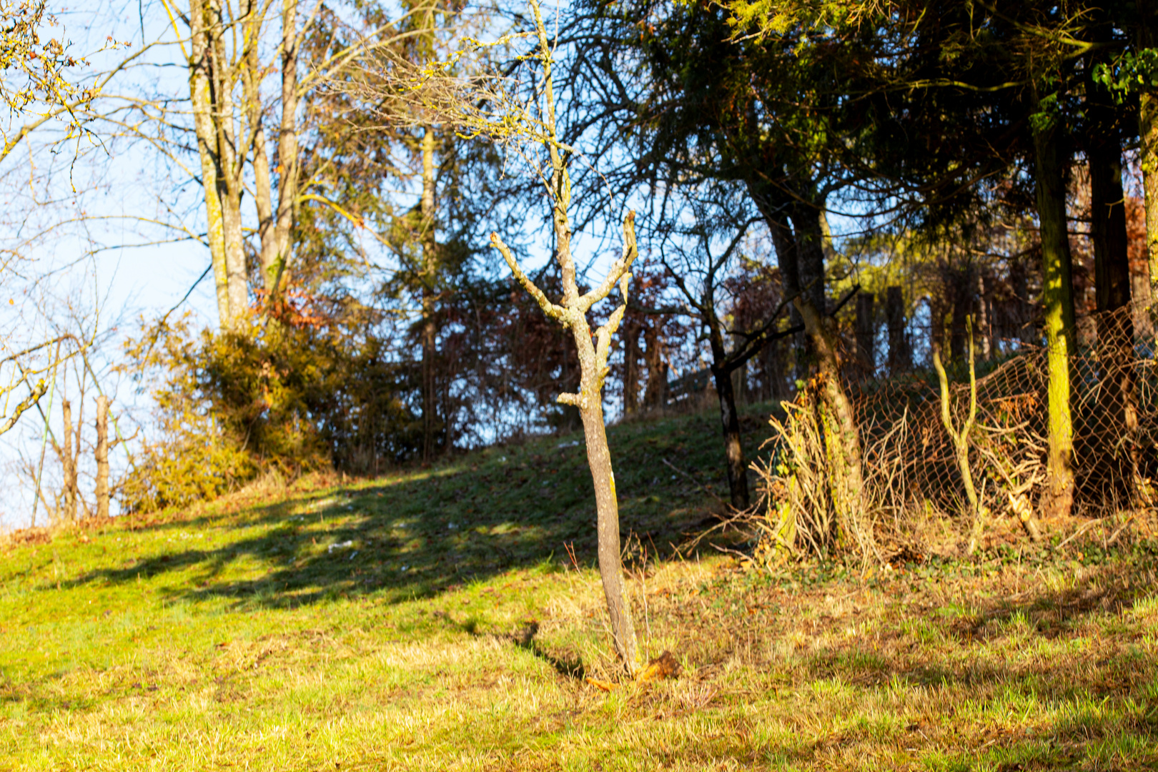 Kraichgaulandschaft in Kürnbach 