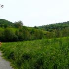 Kraichgaulandschaft in Kürnbach