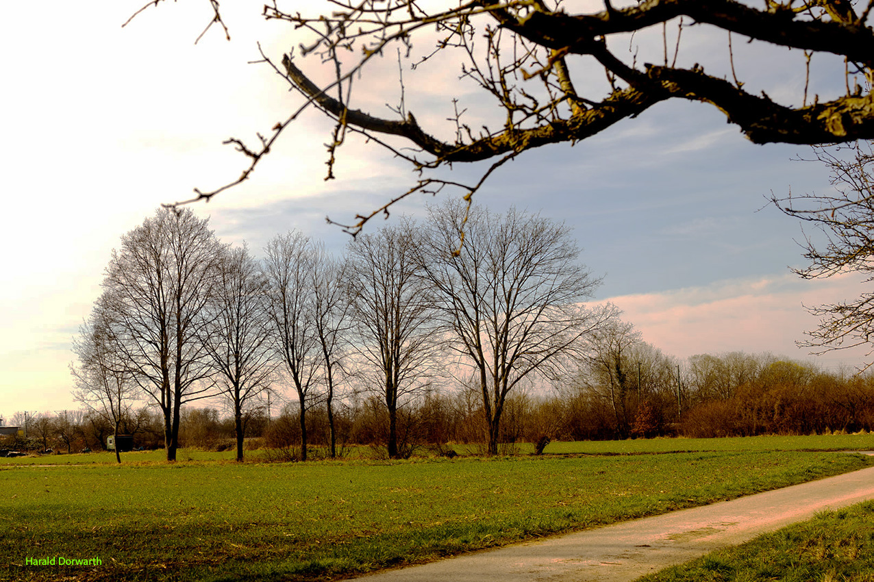 Kraichgaulandschaft in Stettfeld