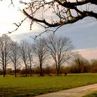 Kraichgaulandschaft in Stettfeld