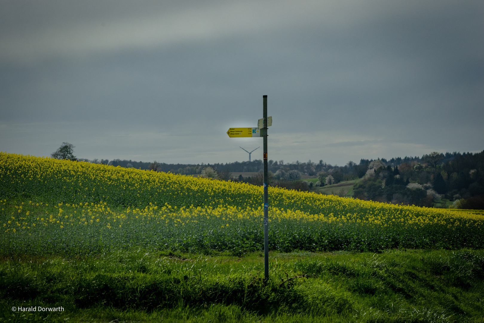 Kraichgaulandschaft in Weingarten