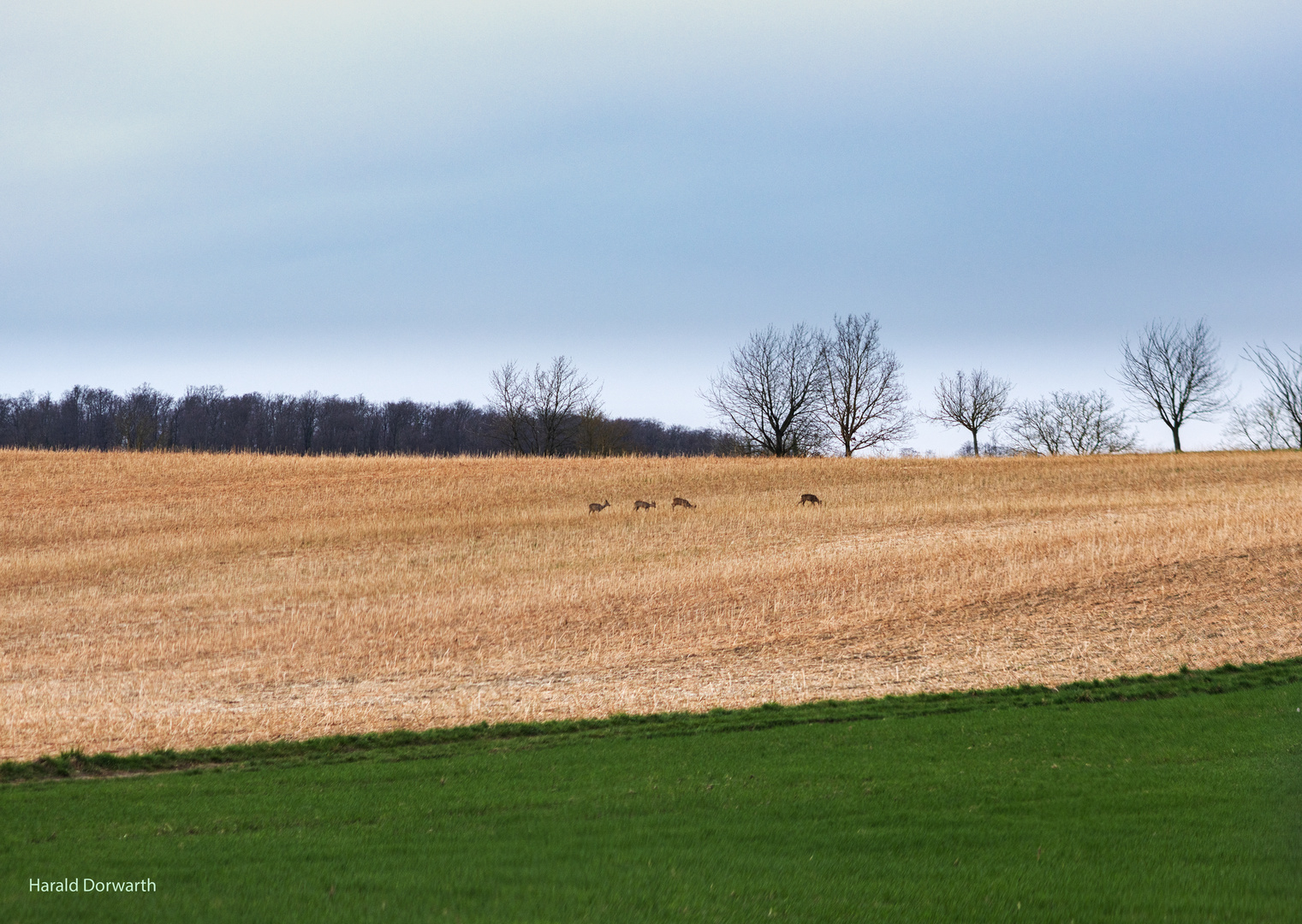 Kraichgaulandschaft in Zeutern