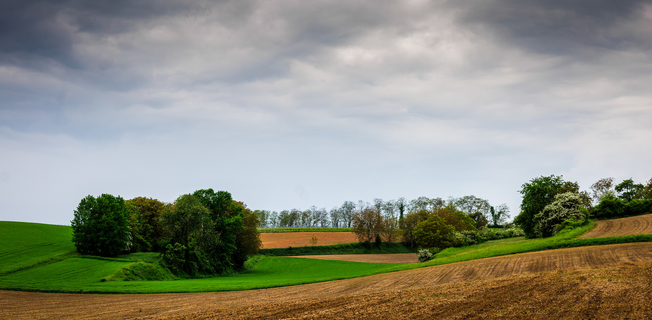 Kraichgaulandschaft in Zeutern