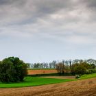 Kraichgaulandschaft in Zeutern