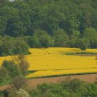 Kraichgaulandschaft in Zeutern