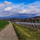 Kraichgaulandschaft in Zeutern