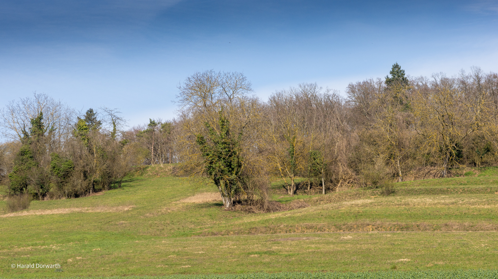 Kraichgaulandschaft zwischen Zeutern und Odenheim