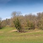 Kraichgaulandschaft zwischen Zeutern und Odenheim