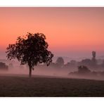 Kraichgaumorgen