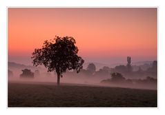 Kraichgaumorgen