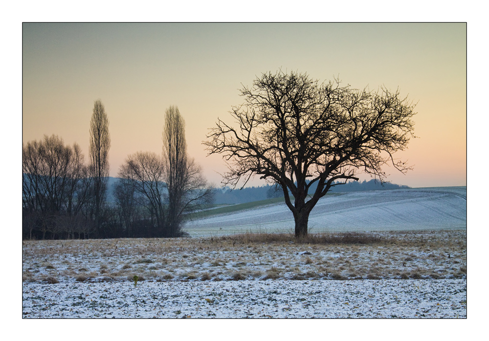 Kraichgaumorgen II