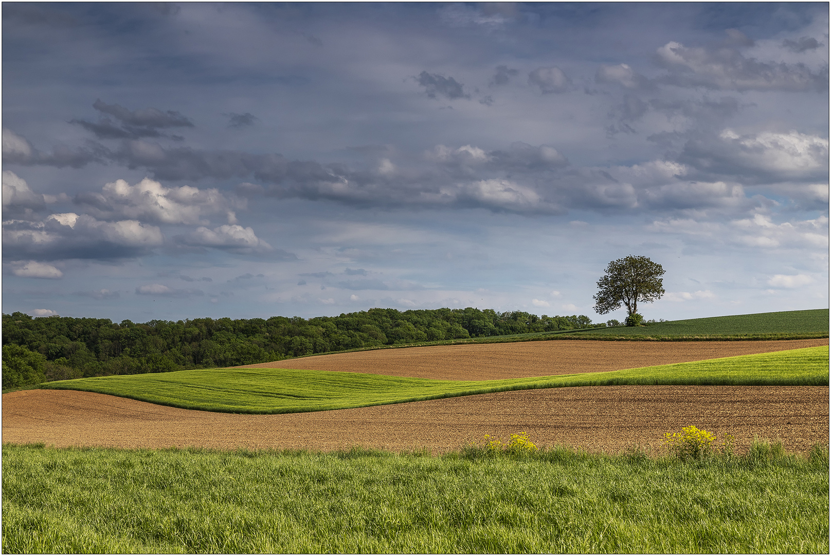 KraichgauWellen