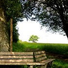 Kraigaulandschaft in Sternenfels