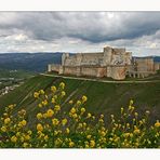 Krak de Chevaliers 1