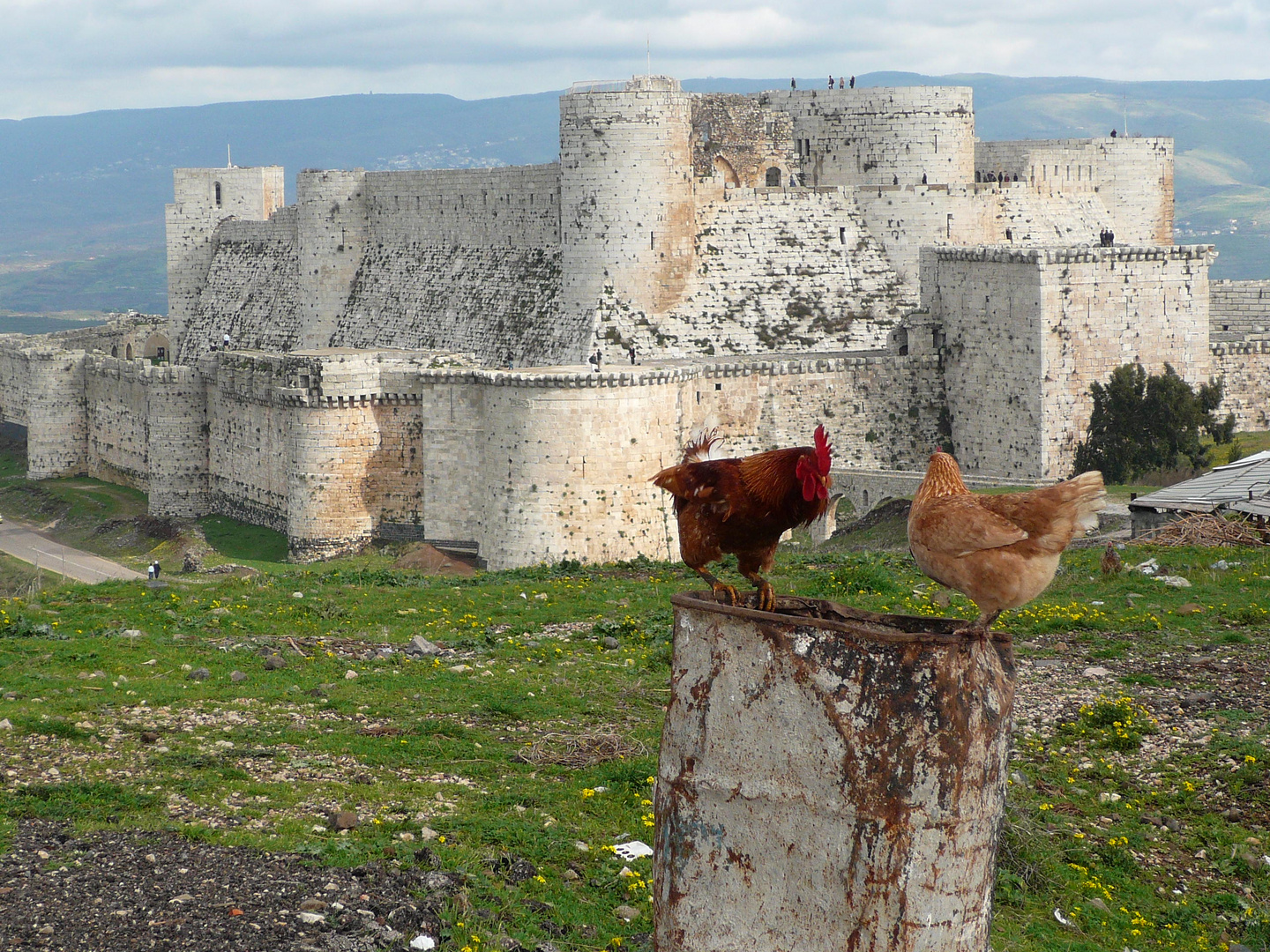 Krak des Chevaliers, Syria