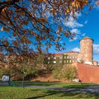 Krakau - Königsschloss auf dem Wawel