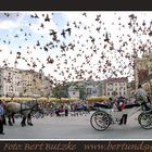 Krakau Marktplatz