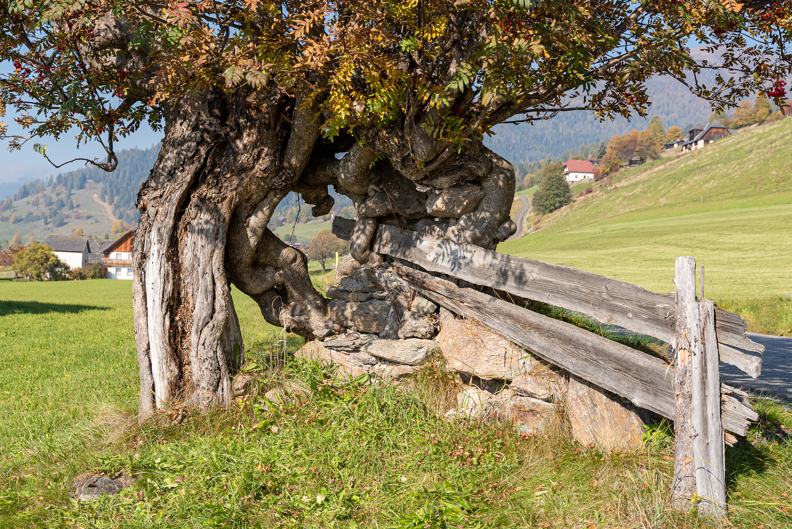 Krakaudorf Herbst 2018