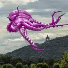 Kraken an der Weser