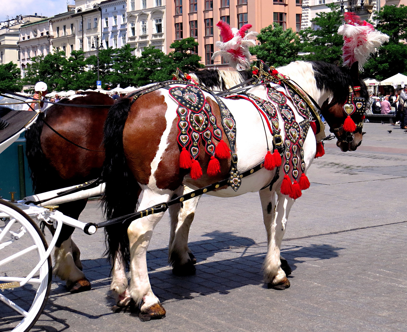 KRAKOW - Pferde-Schmuck