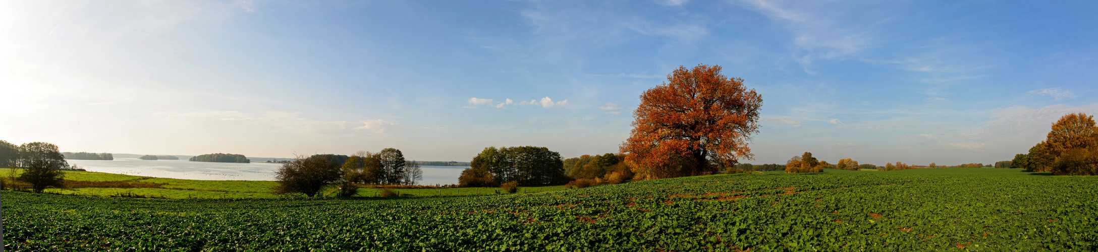 Krakower Obersee