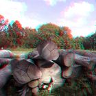 Kralingsebos Rotterdam 3D GoPro