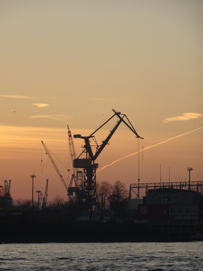 Kran bei Sonnenuntergang