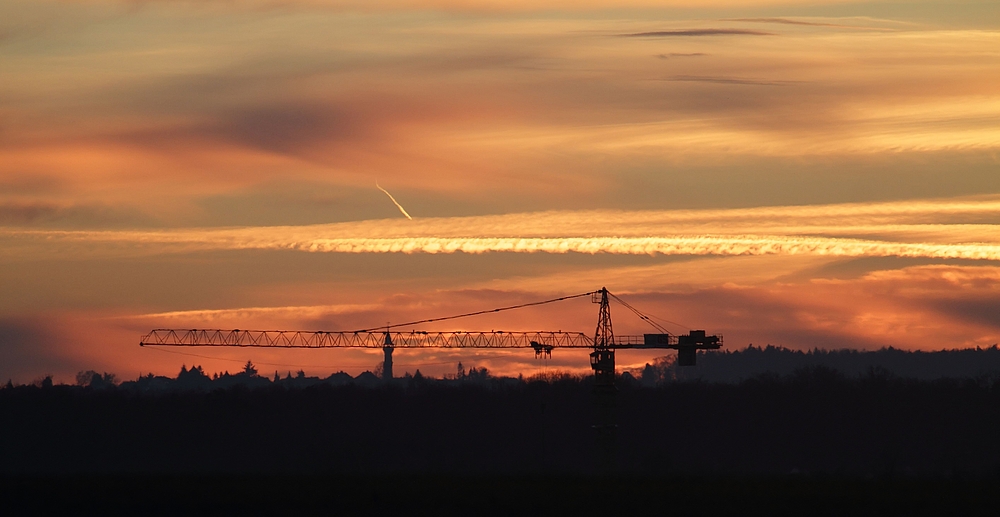 Kran - beim Sonnenuntergang