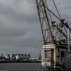 Kran - Holzhafen - Altona - Hafen Hamburg