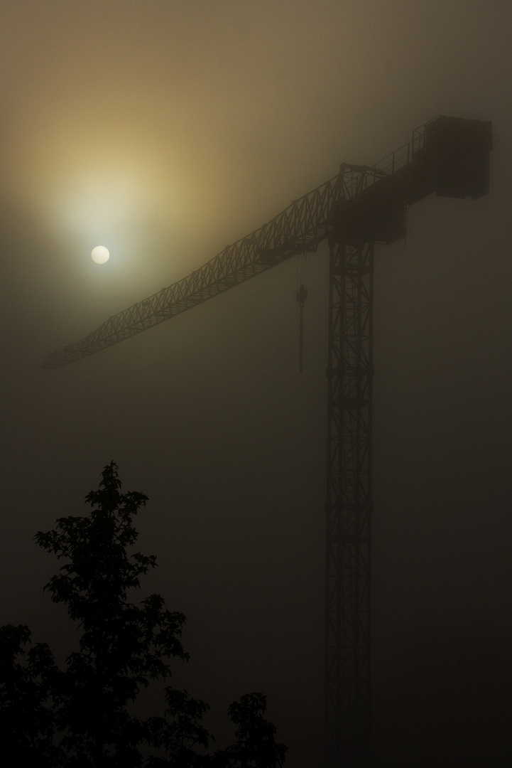 Kran im Nebel