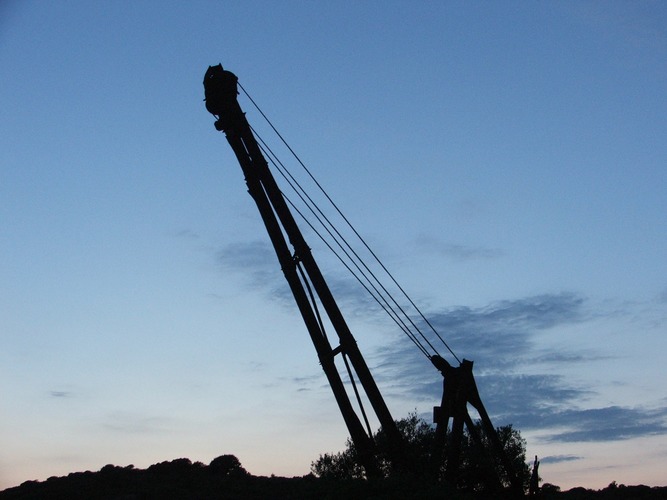 Kran in der Abenddämmerung...