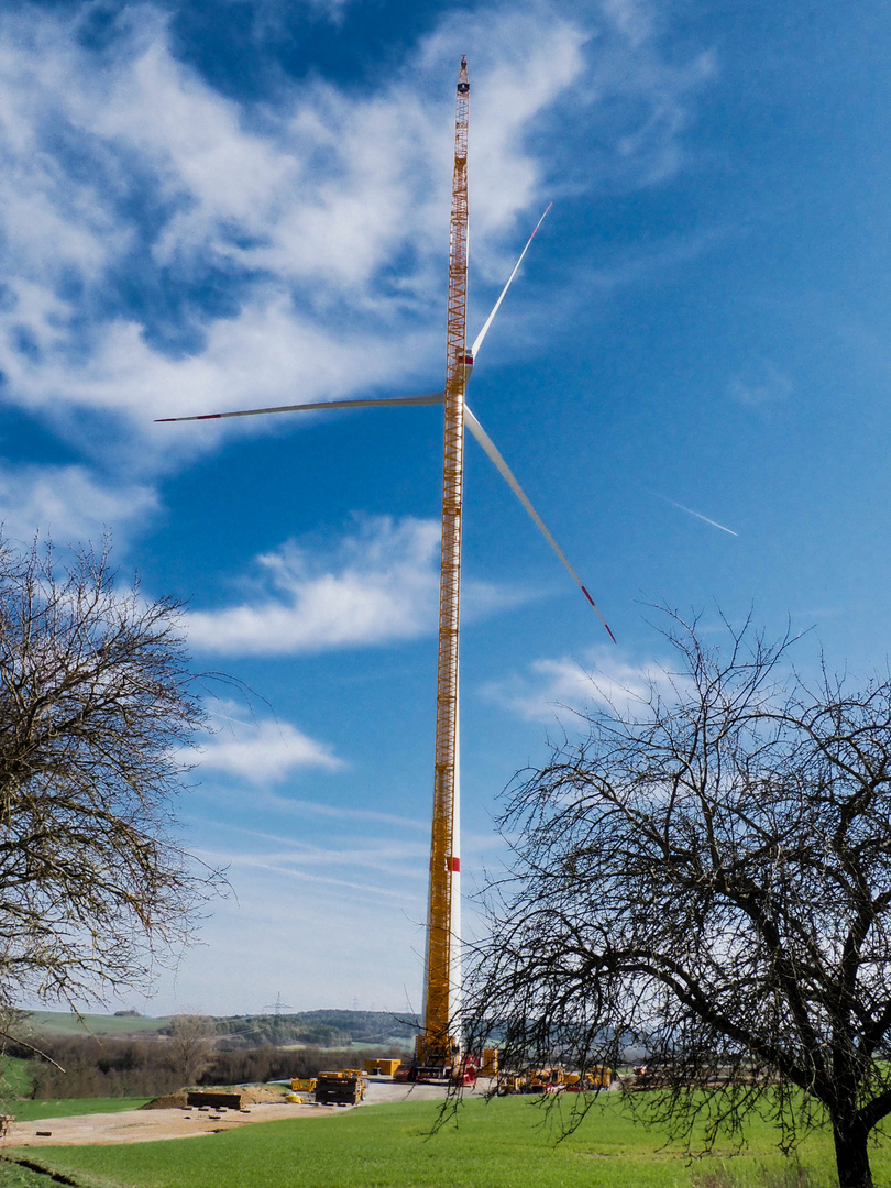 Kran mit Rotor