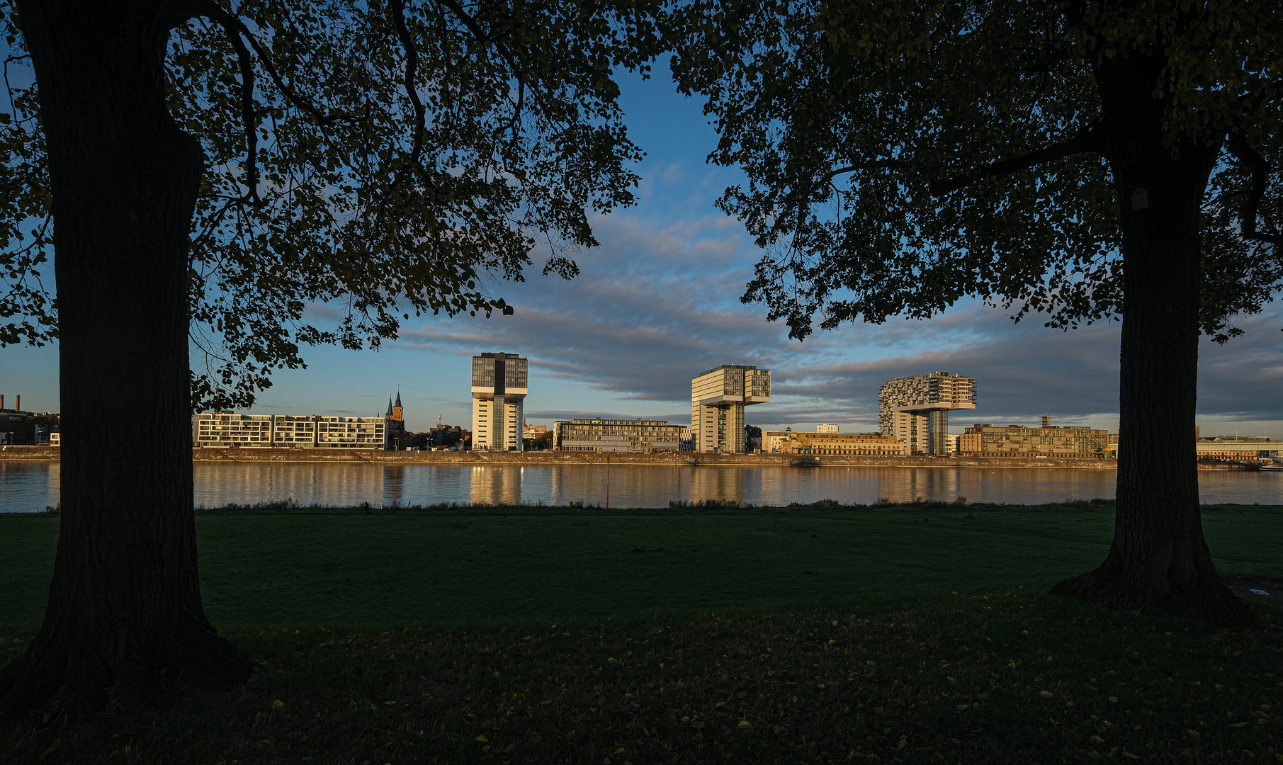 Kranhäuser am Rheinauhafen in Köln