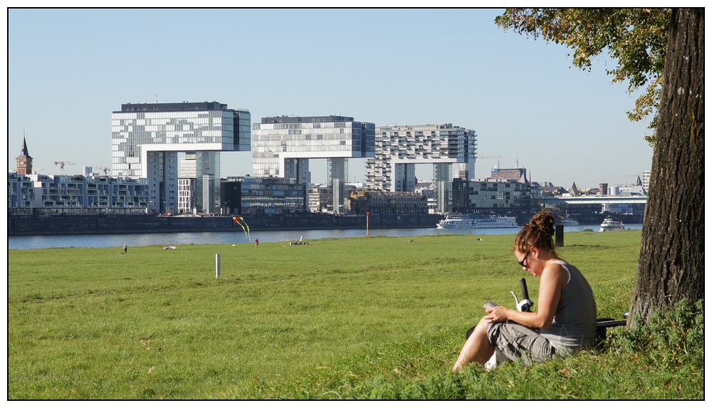 Kranhäuser (Köln, Im Zollhafen)