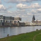 Kranhäuser und Dom zu Köln