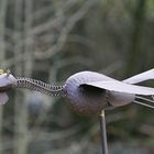 Kranich, eisern entschlossen zu fliegen