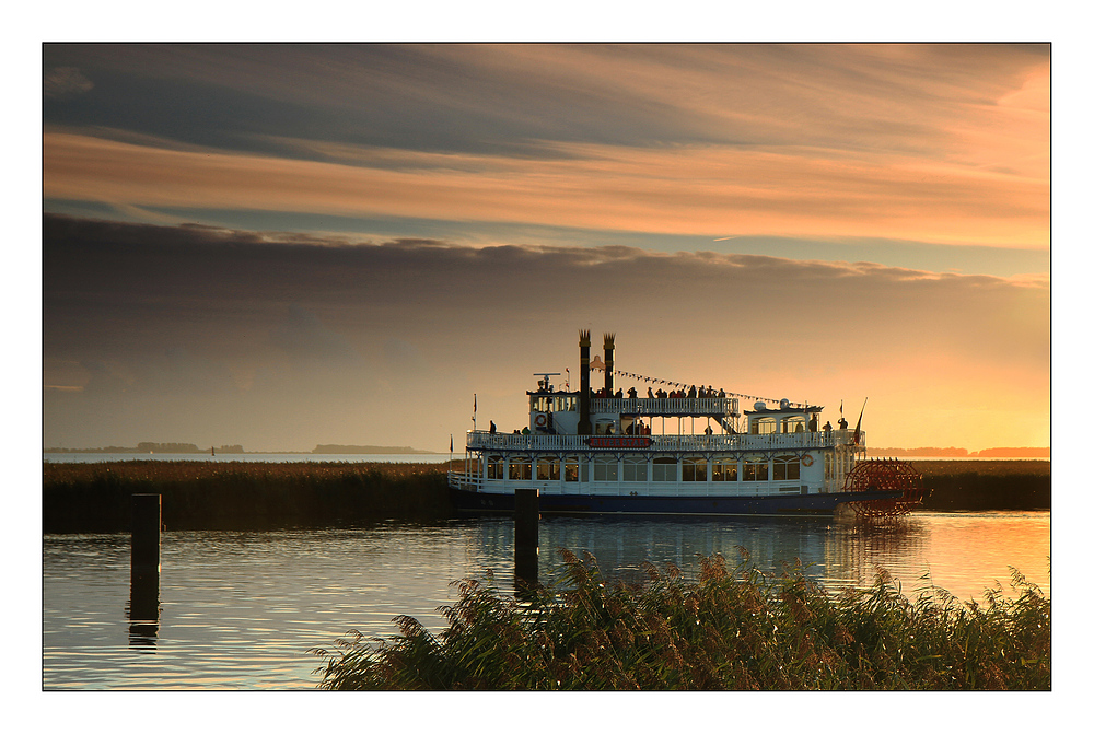 Kranichbeobachtungen von der River Star aus.