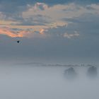 Kraniche im Morgennebel