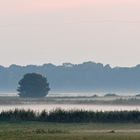 Kraniche: Wenn Bodennebel aufzieht und der Himmel rosa wird 01